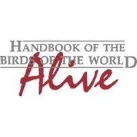 HBW Alive coupons